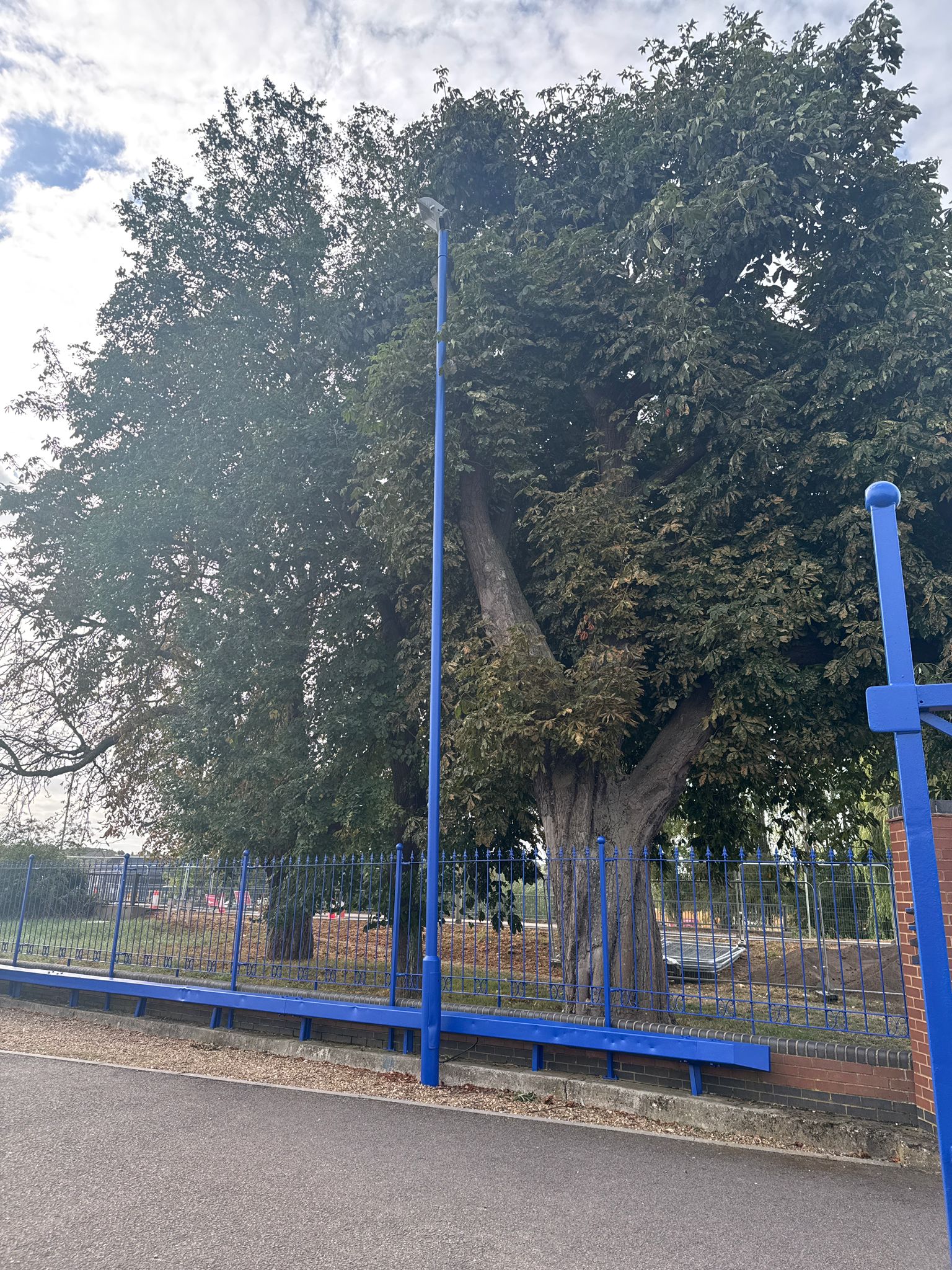 Blue railings and exterior metalwork on a commercial site