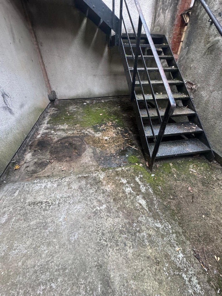 Same lower flight of the steel staircase with moss, dirt and worn paint — before